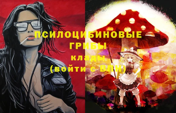 синтетический гашиш Каменск-Шахтинский