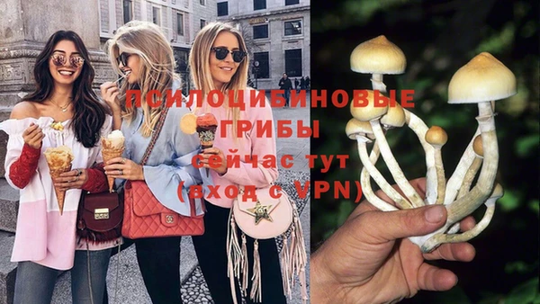 spice Новокубанск